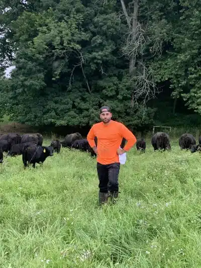 Grass-Fed Beef Farm in New Jersey