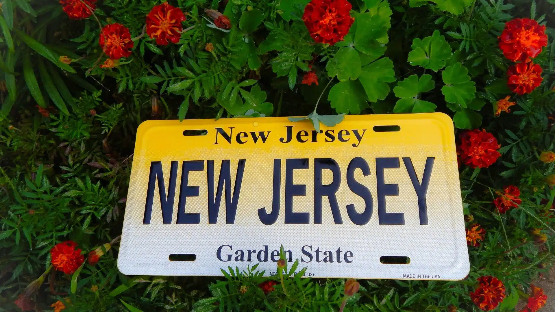 Why Wantage, NJ is Perfect for Grass-Fed Beef