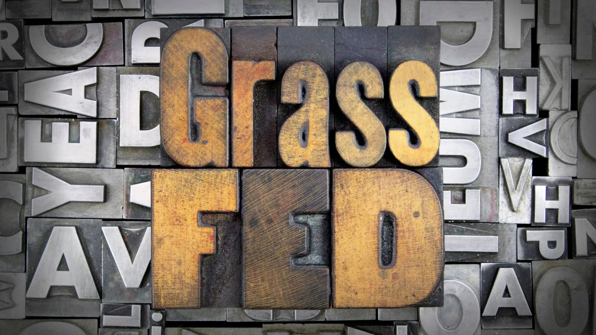 Understanding the Sustainability of Grass-Fed Beef
